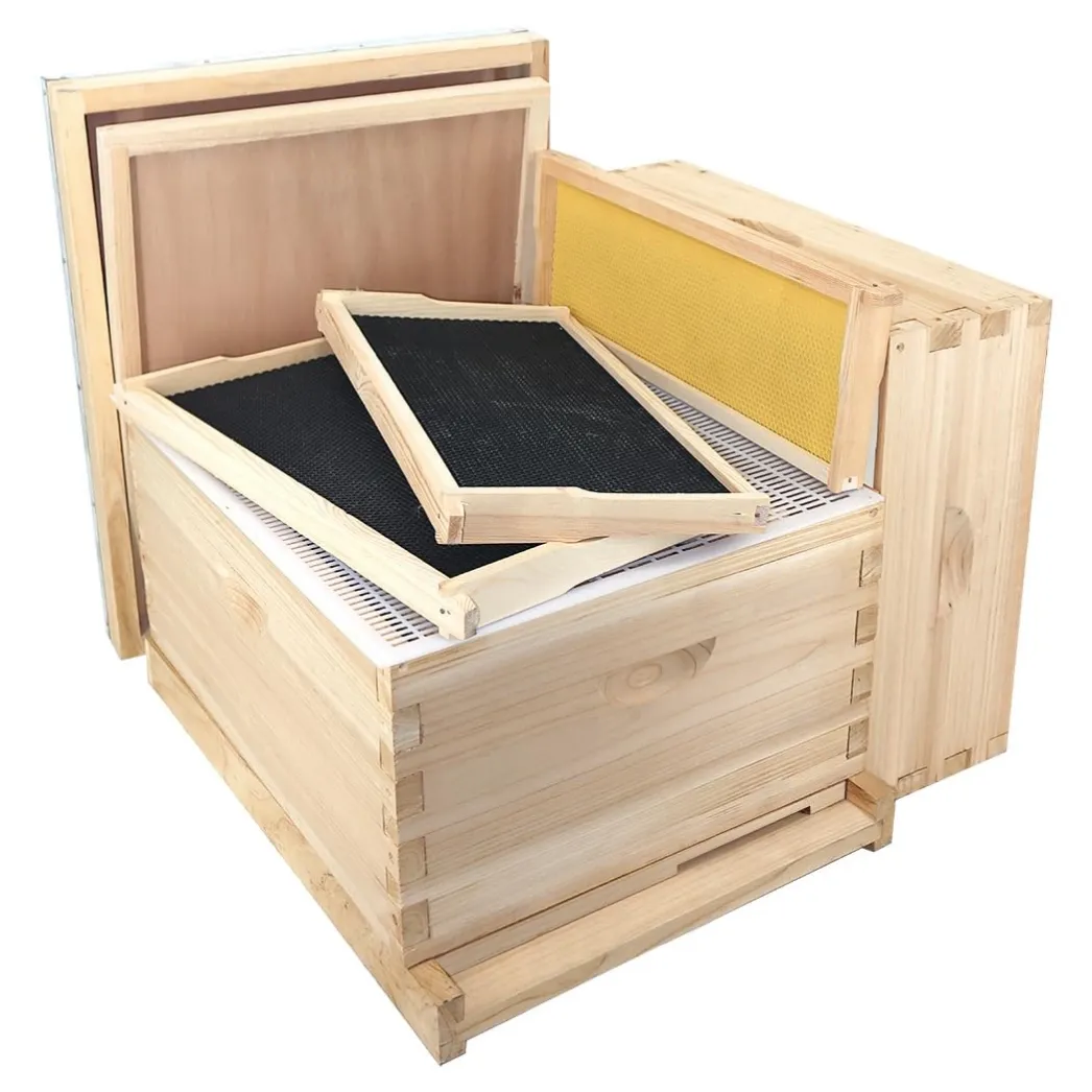 2-layer 10 frame hive-02