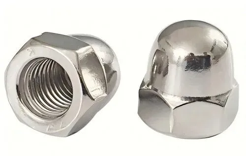 Cap Nuts (Acorn Nuts) - Hextro Technology